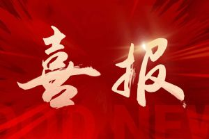 捷报频传！欢创集团揽获希音多个重大奖项